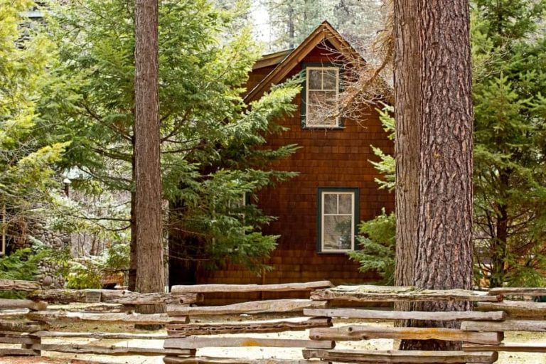 ¿Debo comprar una cabaña junto al agua o en el bosque?