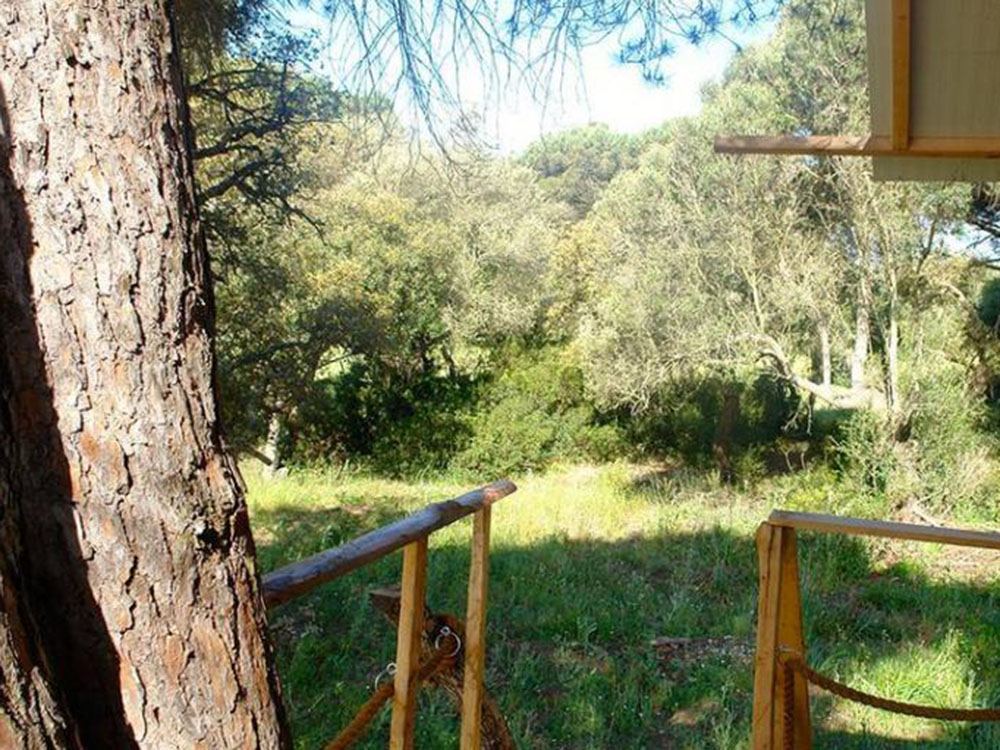 Cabaña del árbol en Holiday Home Elf Loft