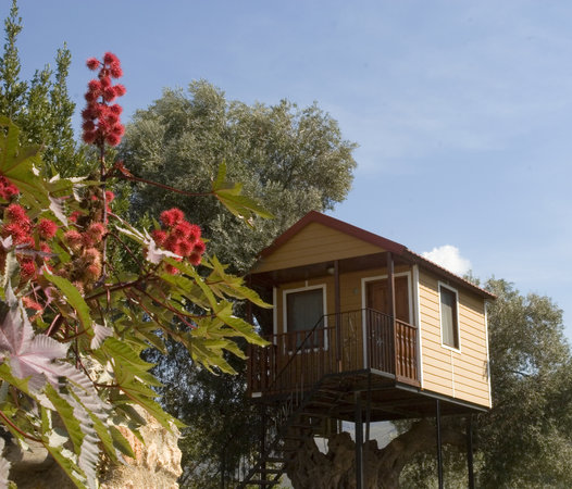 Camping Órgiva, Granada