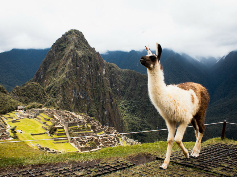 Machu Picchu, Perú / Foto: Junior Moran (Unsplash)